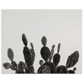 03a07298-627d-4af4-b5d3-5e69bc24b654
