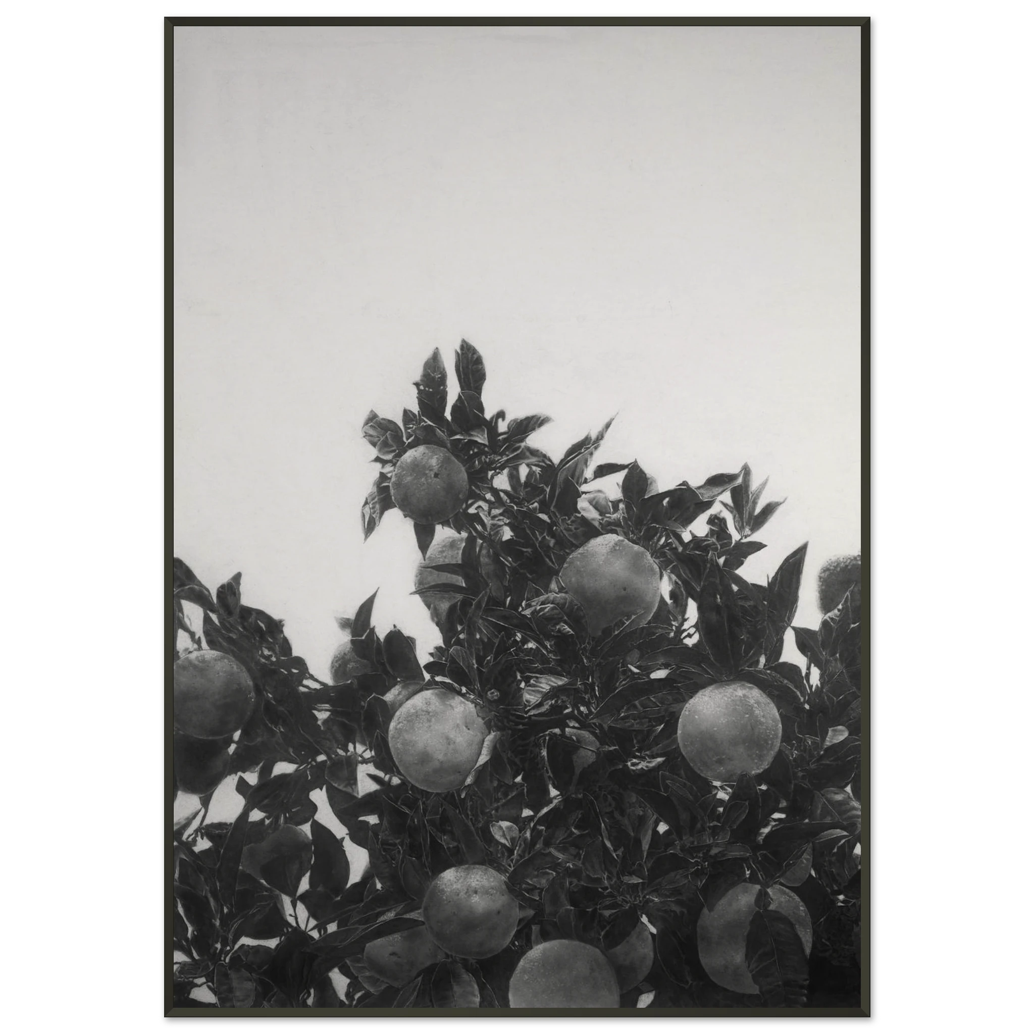 1934bc48-d217-410f-b959-5f3a563126e7