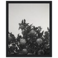 69fcb606-d83d-44b4-b0de-9101ce75eb1c