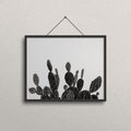 A black-framed wall art print featuring a black and white drawing of prickly pear cacti, hanging from a black cord on a textured light gray wall.
