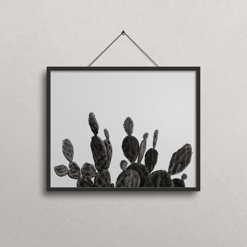 A black-framed wall art print featuring a black and white drawing of prickly pear cacti, hanging from a black cord on a textured light gray wall.