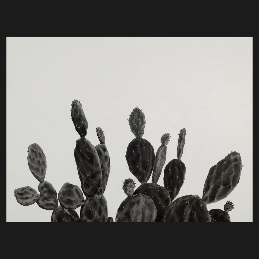 Black and white photorealistic drawing of a prickly pear cactus pads against a light gray background, framed by dark borders