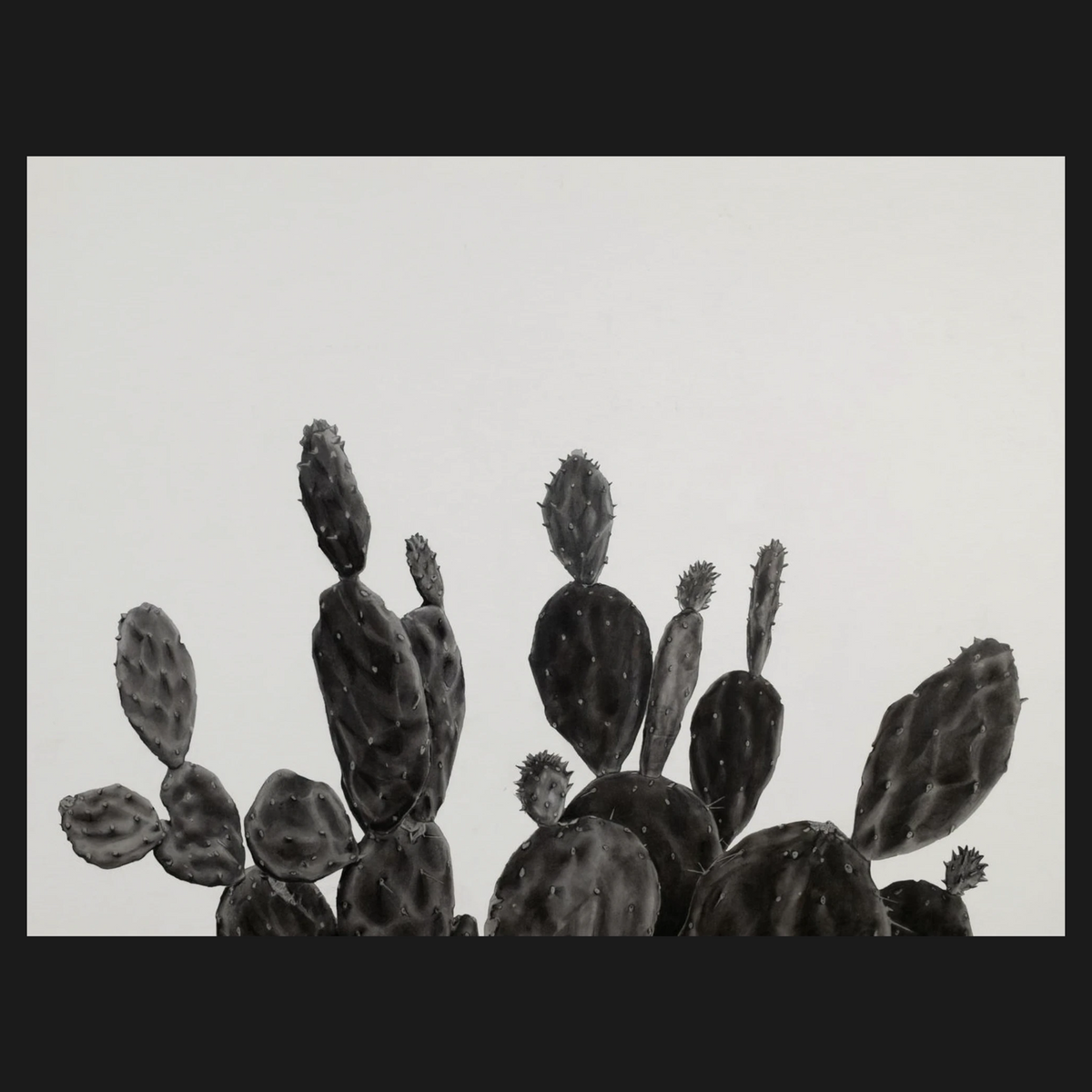 Black and white photorealistic drawing of a prickly pear cactus pads against a light gray background, framed by dark borders