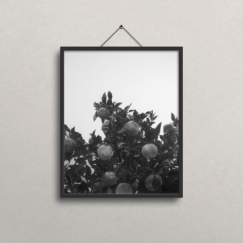 A black-framed black and white photographic drawing of fruit on a tree, hanging on a light gray textured wall.