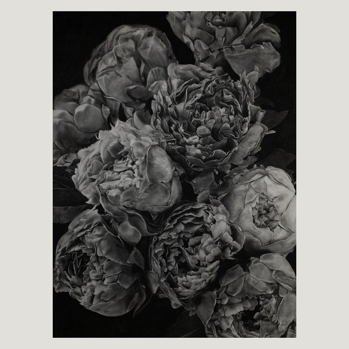 A black and white fine art print depicting a dense cluster of peony flowers with intricate, layered petals, presented on a light gray background.