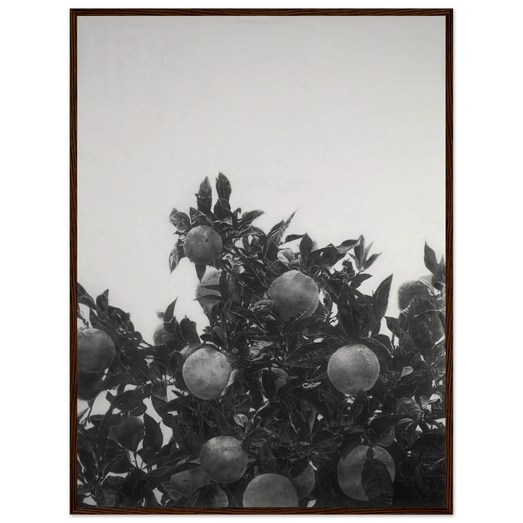 c47e9429-5110-49f4-b244-41ee2b5bb76f